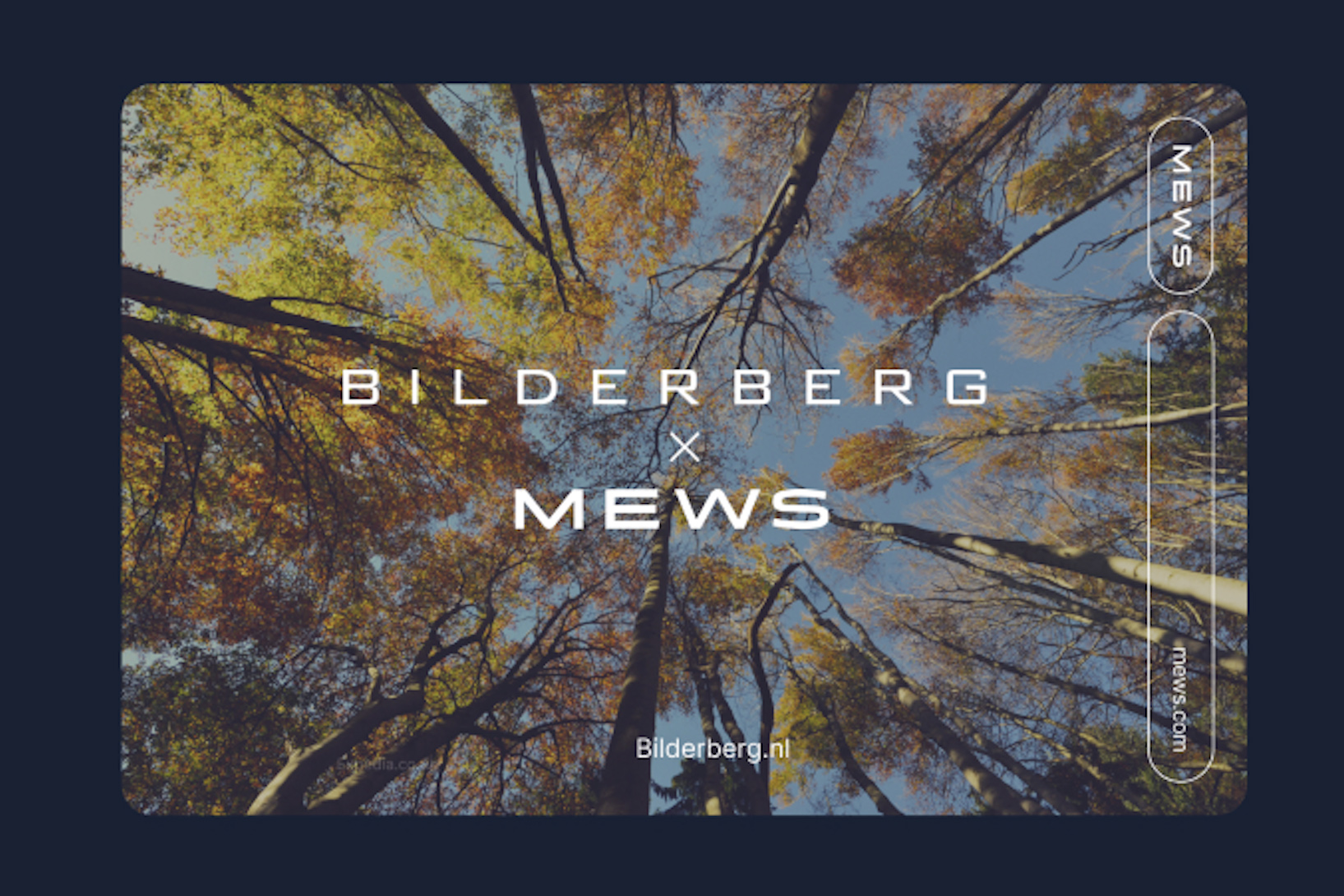Bilderberg hotels stappen over op Mews en zien indrukwekkende resultaten 6