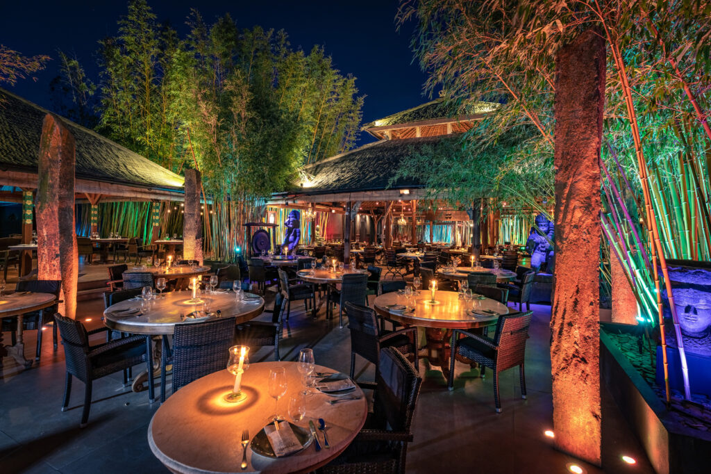 bambuddha