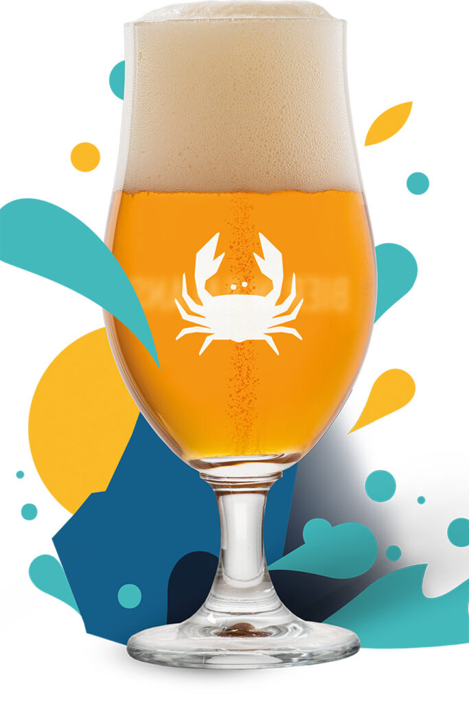 sb glas zeezuiper kopie