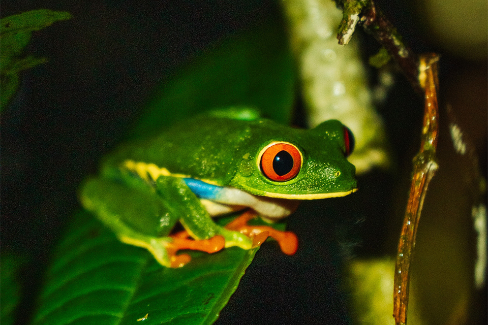 Deze plekken laten zien hoe toekomstbestendige hospitality eruitziet 1