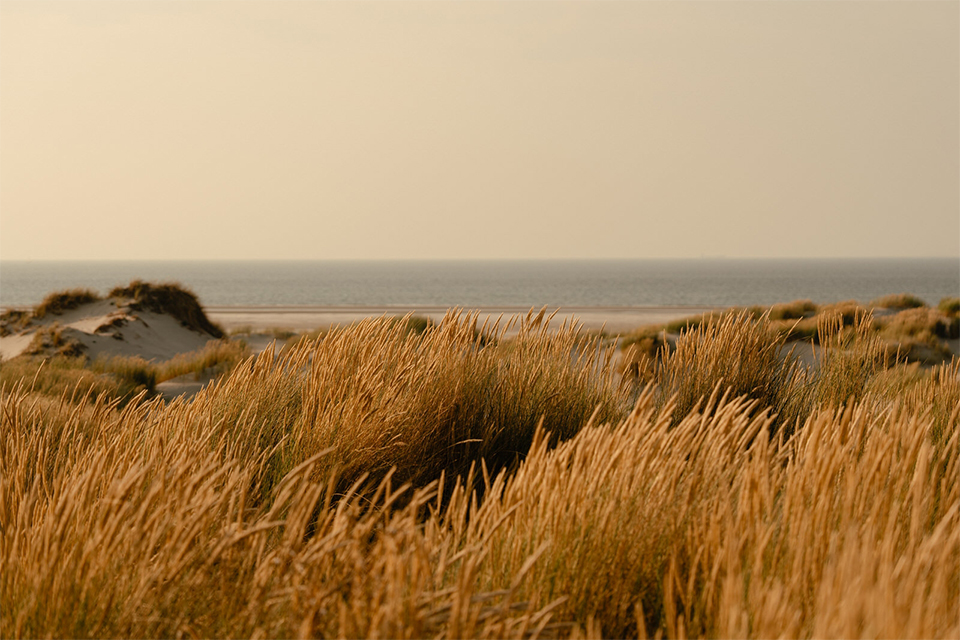 Nieuwe standaard voor barefoot luxury op de Wadden 10