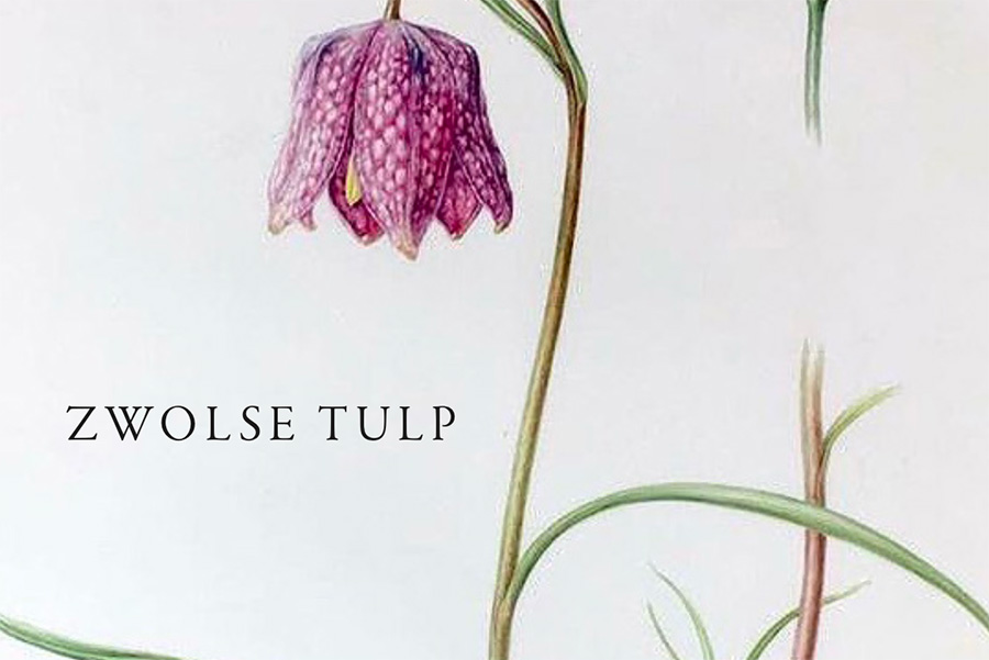 Hotel Florès combineert interieur, bar en gastbeleving in Zwolle 6