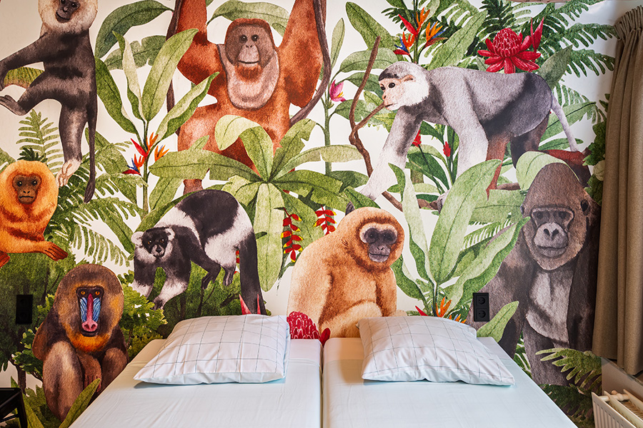 Stayokay Apeldoorn heropent deuren en krijgt Apenheul familiekamer  1