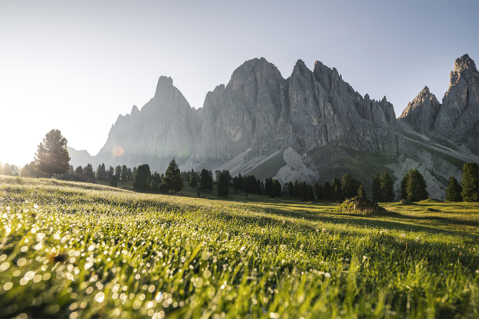 20 jaar Vitalpina® Hotels Südtirol 1